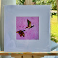 PRINT - Pink Mallards (Matted)